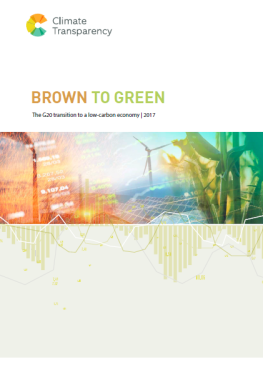 Brown to Green: the G20 transition to a low-carbon economy 